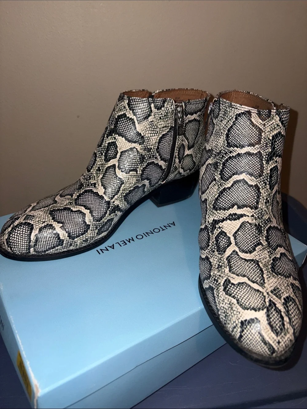 ANTONIO MELANI Snake-Print Ankle Booties in Black & Cream